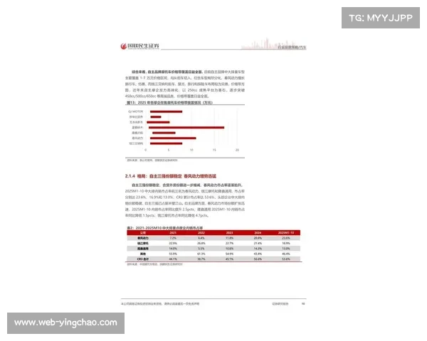 2026-2032年中国搏击行业投资战略规划报告发布